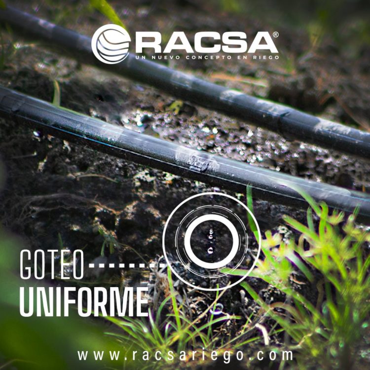 Cinta Racsa 5/8" 6mil 20cm 4 lph 2000m - Imagen 5